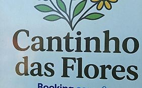 No jardim